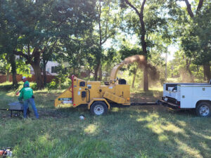 best tree lopping
