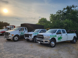 tree loading services