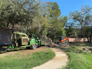 tree Mulch