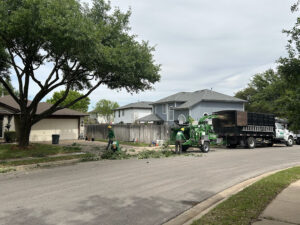 professional tree lopping services