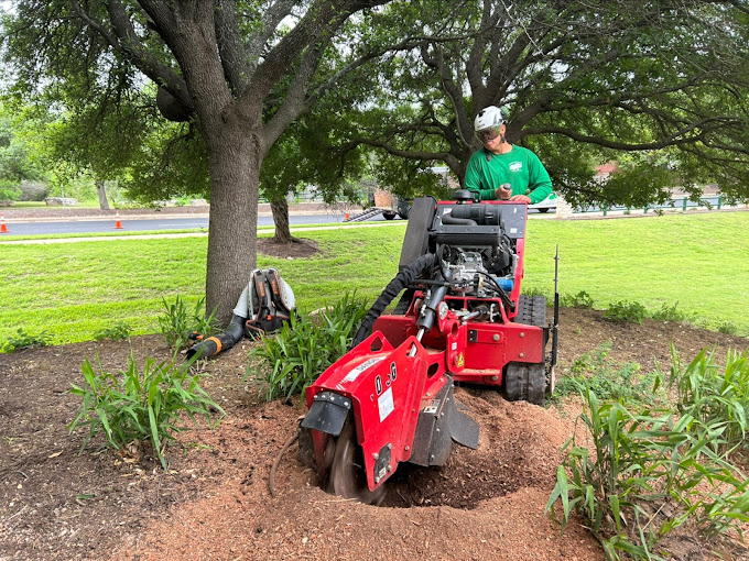 Stump Grinding