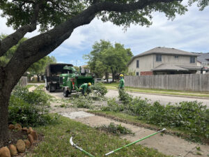 tree Lot Clearing services