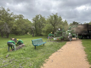 tree cutting services