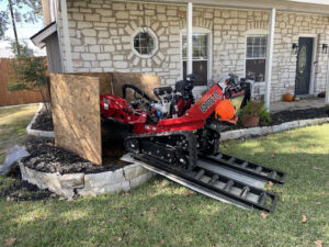 best Tree Root Removal