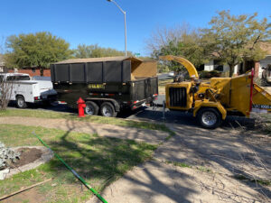 professional tree lopping services